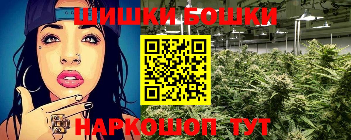 Каннабис ГИДРОПОН  Вход с VPN  Лесной  Бошки Шишки план 